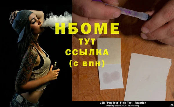 индика Богородицк