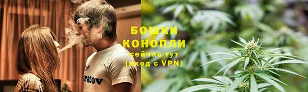 МДПВ Богородск