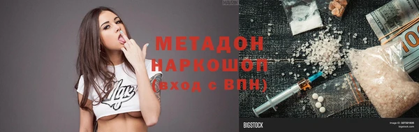 индика Богородицк