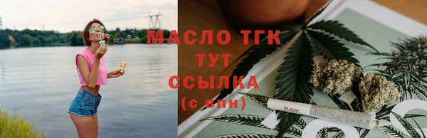 индика Богородицк