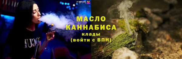 МДПВ Богородск
