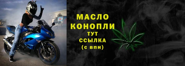 МДПВ Богородск