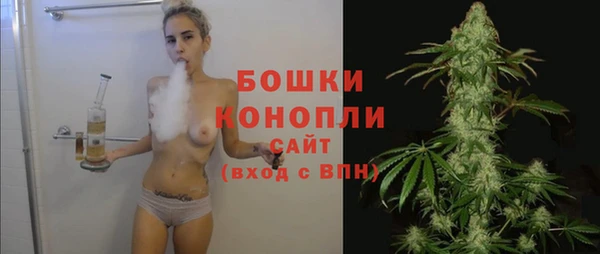 первитин Богданович