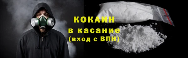 индика Богородицк