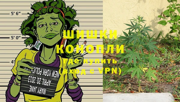 спиды Белокуриха