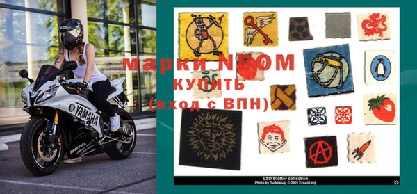 индика Богородицк