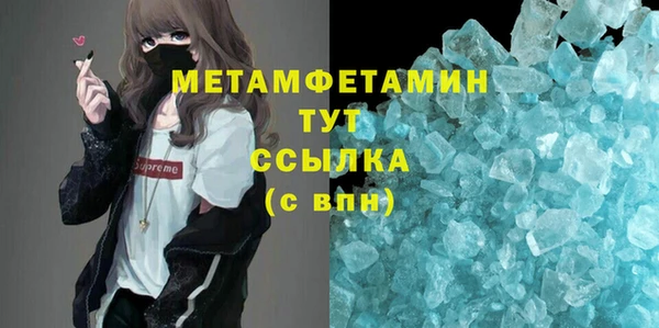 индика Богородицк