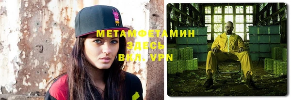 индика Богородицк