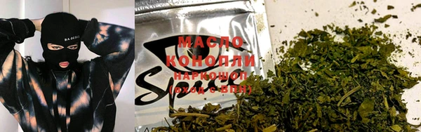 индика Богородицк