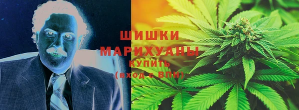 индика Богородицк