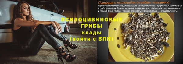 первитин Богданович